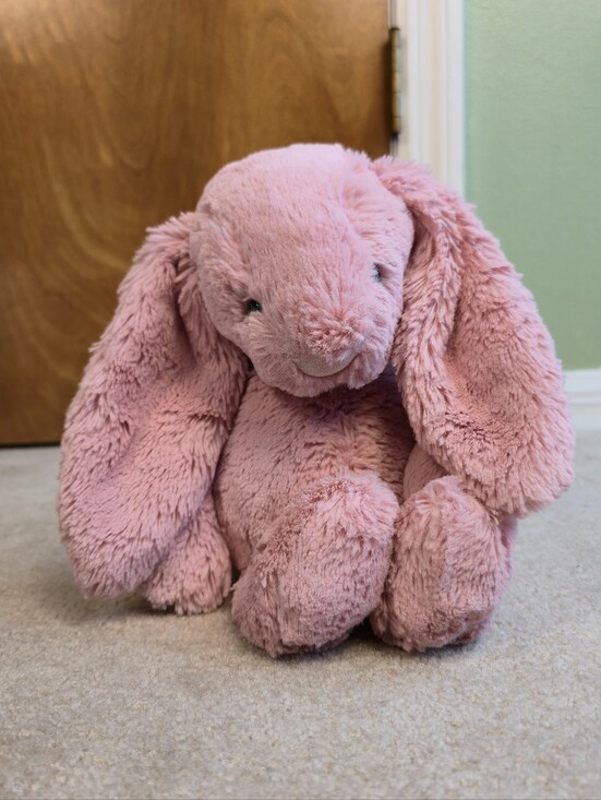 Jellycat Other - JELLYCAT bashful tulip pink bunny 12 inches Toy Stuffed Animal Plush